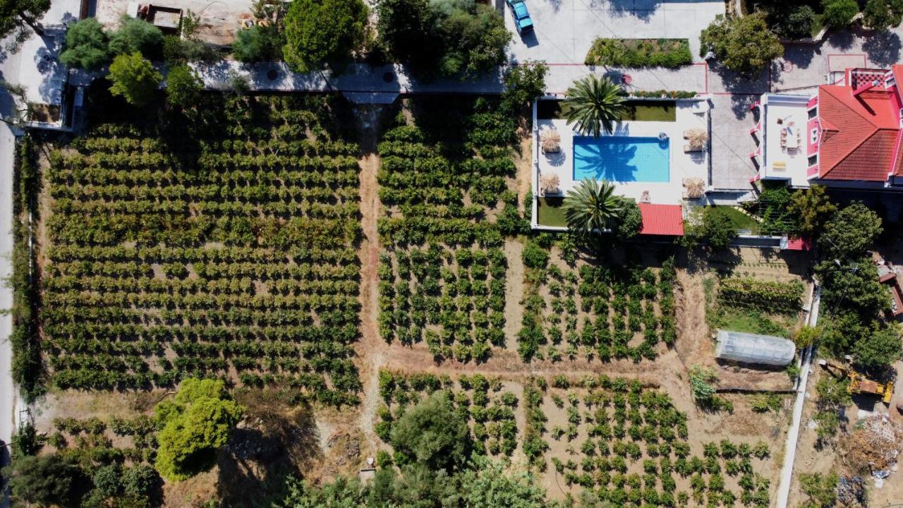 Zissis Villa&pool 5min drive to beach Kato Yerakarion Buitenkant foto